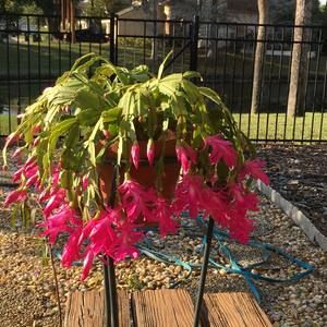 Meet your Posher, Jill